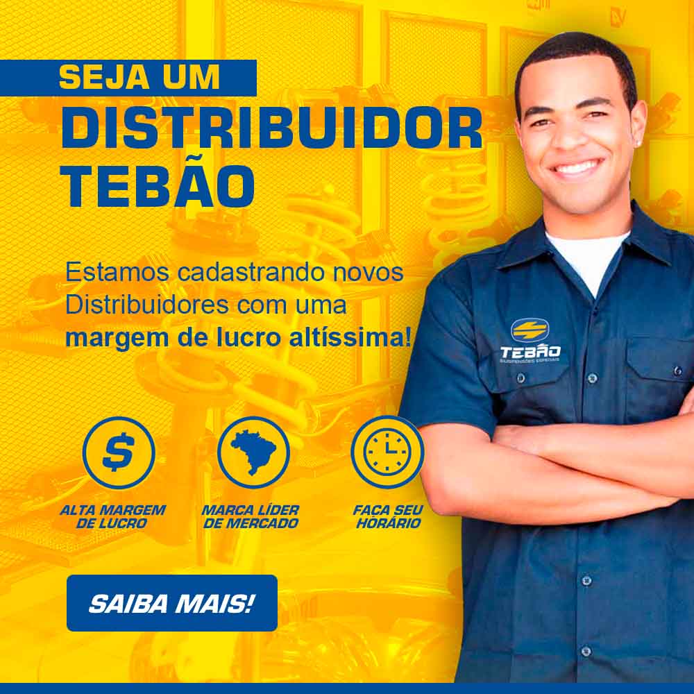 DISTRIBUIDOR 2025 - Responsive